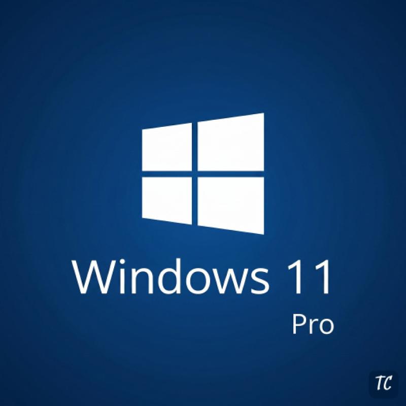 Microsoft Windows 11 Pro - Global